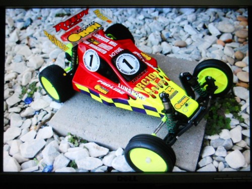 DSCN5398.jpg