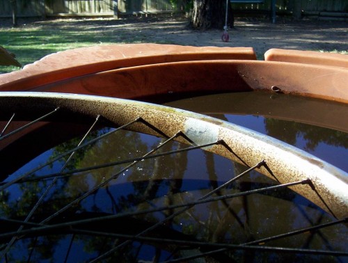 Very Rusty Rims 002 (Medium) (2).JPG
