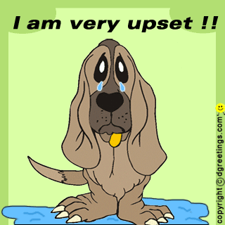 upset1.gif