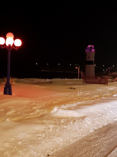 Resized_20190202_051042(2).jpeg