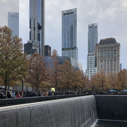 2E2430F7-1775-4A14-A7FF-641F41153892.jpeg