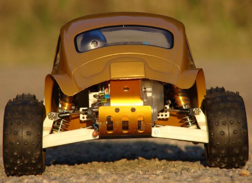 goldbug (3).JPG