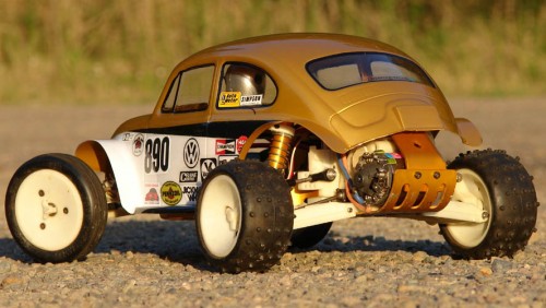 goldbug (2).JPG