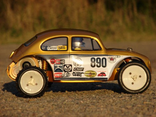 goldbug (1).JPG