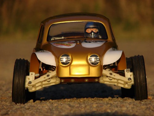 goldbug (4).JPG