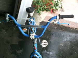 bmx4.jpg
