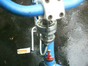 bmx2.jpg