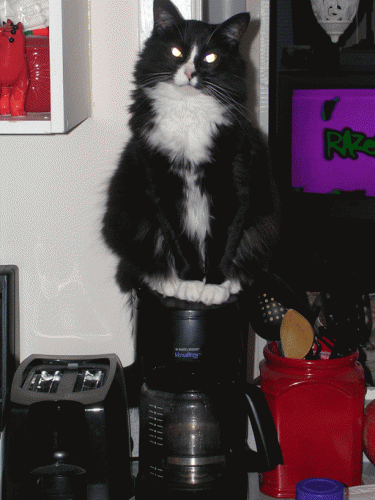 DSCN2459.gif