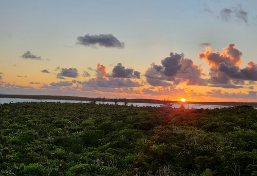 li sunrise 101722.jpg