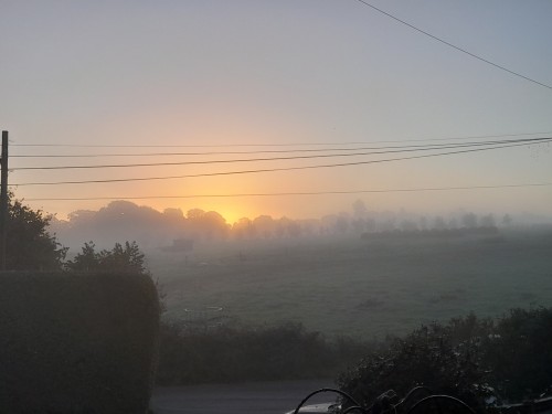 20221018_073942.jpg
