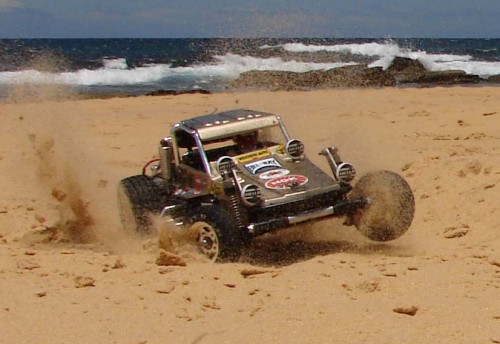 goldwildonebeach (3).JPG