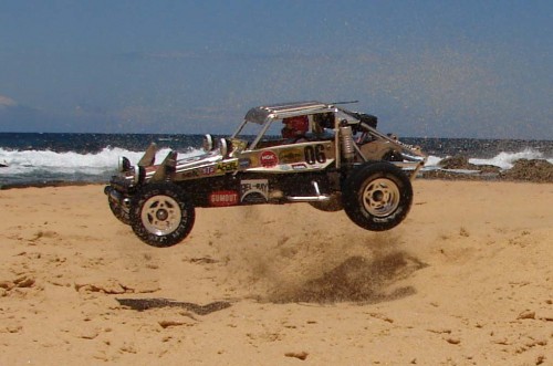 goldwildonebeach (1).JPG