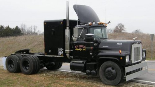 decal_duck_1-541x304.jpg