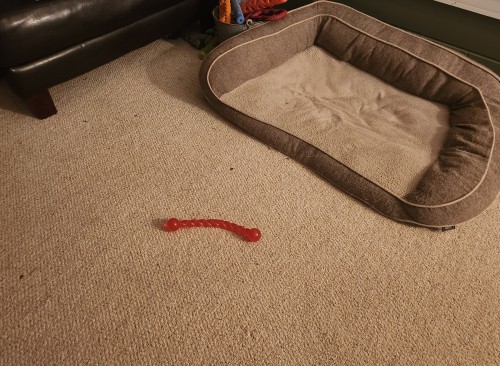 dog toy 1.jpg