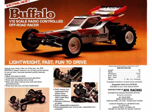 AYK Buffalo Ad 1985.jpg