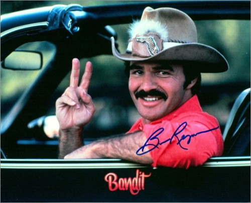 bandit.jpg