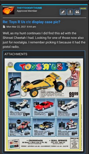Cheetah2.jpg