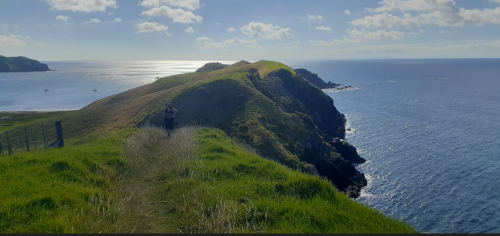 port jackson 1.PNG