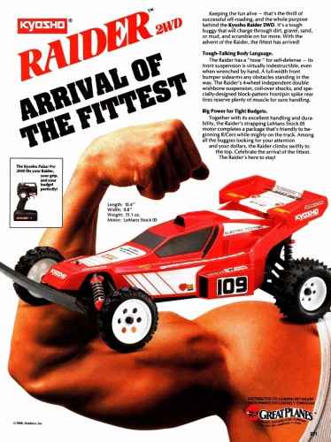 Kyosho Raider.jpg