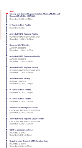 Screen Shot 2024-12-19 at 11.47.06 AM.png