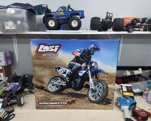 LOSI PROMOTO 1.jpg