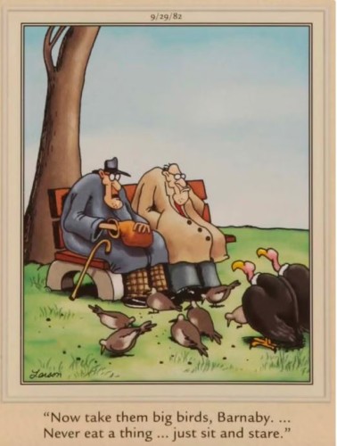 Farside.JPG