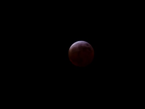 20250314_003549.jpg