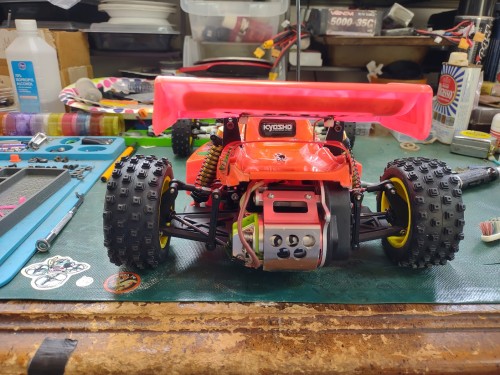 aa rear.jpg