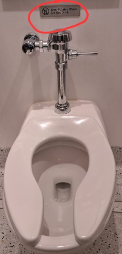 20250706_184227.jpg