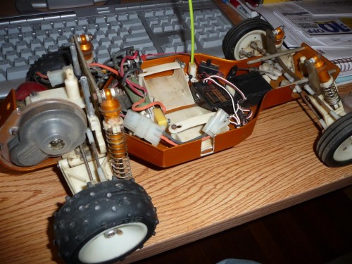 P1020748 (Large).JPG