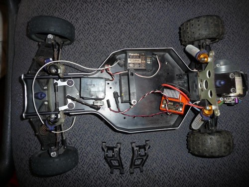 P1020756 (Large).JPG