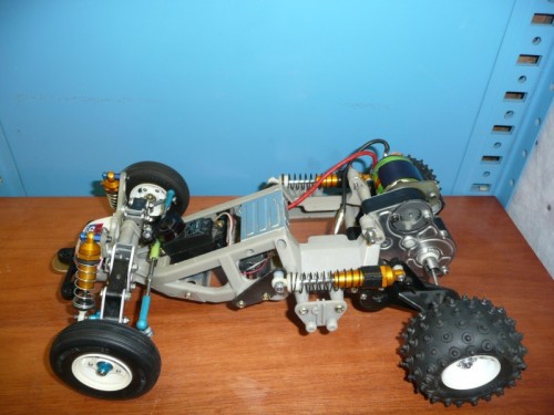 FROG33 (800 x 600).jpg