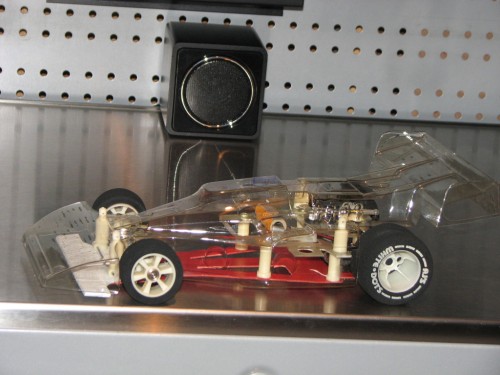 ajcoyote003.jpg