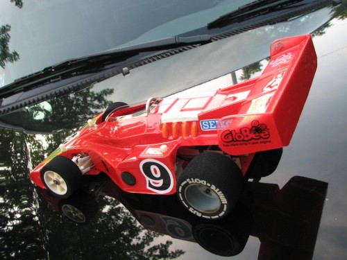coyoty010.jpg