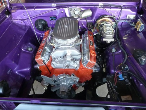 P1030835%20%28Large%29.jpg