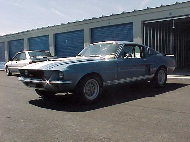 shelby4.jpg