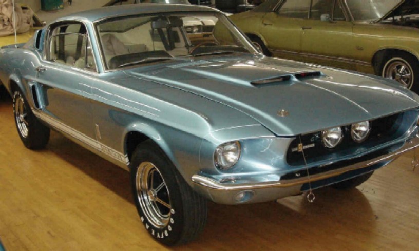 shelby.jpg
