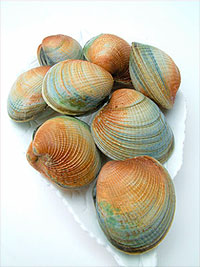 clams.jpg