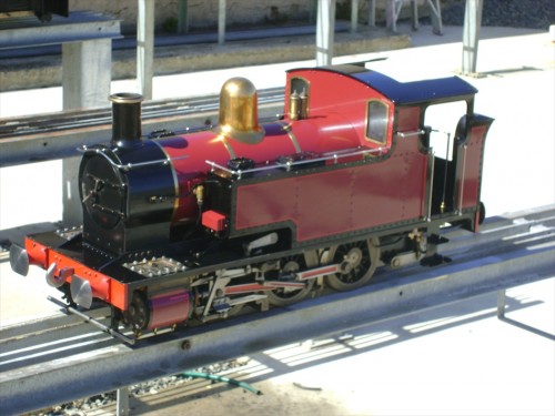 pinky 050.jpg