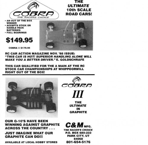 Cobra 2 3.JPG