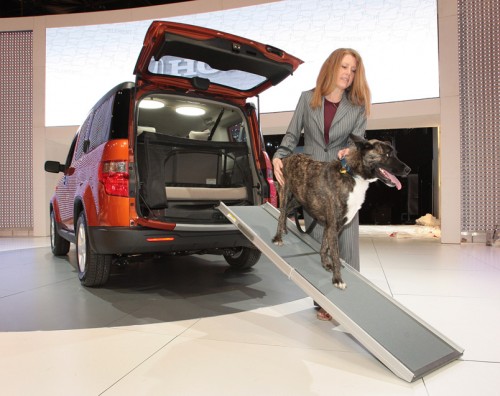 honda_element_dog_concept.jpg