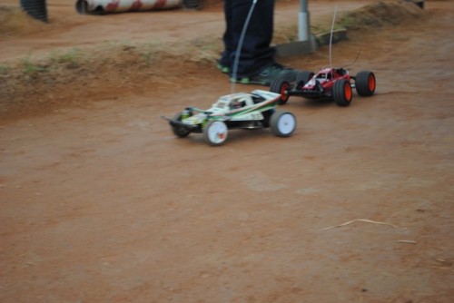 grasshopper.jpg