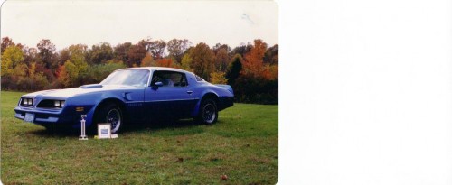 78 trans am original pic 3 small.jpg