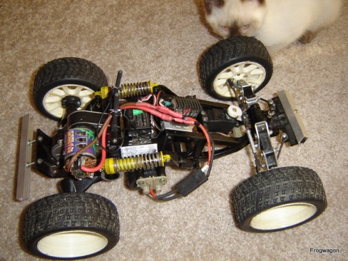 Sorry about the cat :D