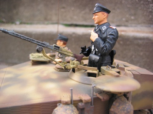 wittman tiger.jpg