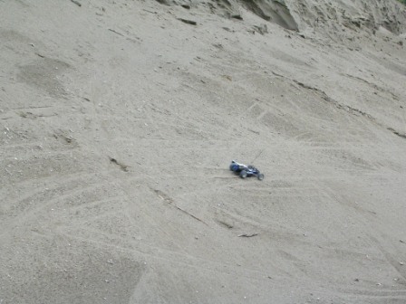 Hill Climb 04s.jpg