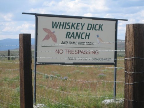 sign.jpg