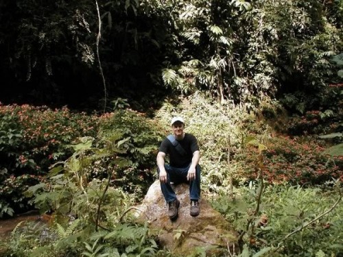 In the Peruvian rainforest