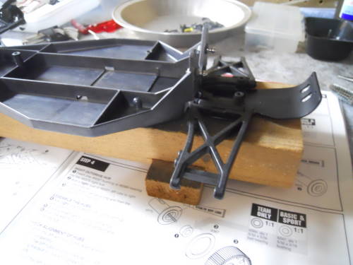 rear arms.jpg