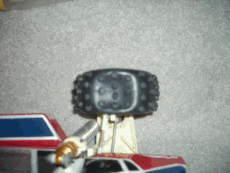 IMGP1299.gif